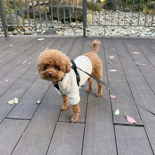 조이님이 올린 리뷰 사진 1