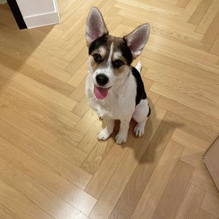 CW님이 올린 리뷰 사진 4