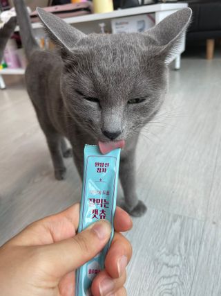 여온님이 올린 리뷰 사진 2