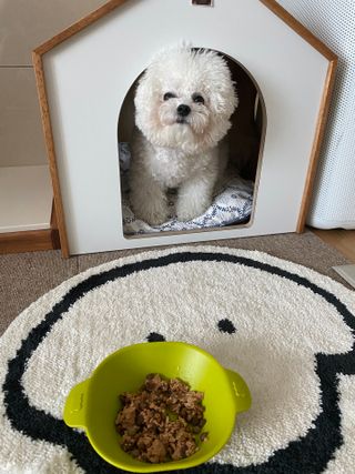 순애님이 올린 리뷰 사진 1