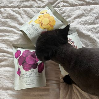 딜라이트 프로젝트 바삭한 원물칩 3종 고구마칩, 자색고구마칩, 느타리버섯칩 [총 6봉지] — 5점을 준 리뷰어가 2022년 3월 올린 사용 사진