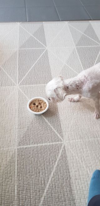 오잉님이 올린 리뷰 사진 3