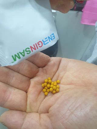 보리엄마님이 올린 리뷰 사진 3