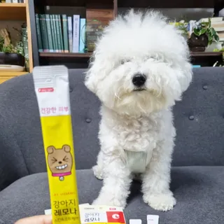 [레모나] 강아지 레모나 강아직 영양 간식 4종 택 1 — 5점을 준 리뷰어가 2023년 12월 올린 사용 사진