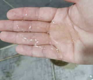빅그린 안티 헤어로스 탈모 카렌듈라 바이옴 샴푸 500ml (지성두피용) — 5점을 준 리뷰어가 2022년 8월 올린 사용 사진