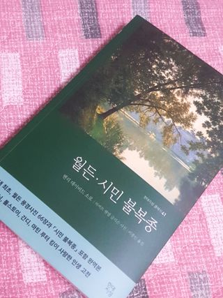 미진냥님이 올린 리뷰 사진 1