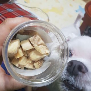 부르르펫 야미트릿 틸라피아 60g — 5점을 준 리뷰어가 2021년 11월 올린 사용 사진