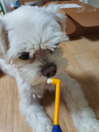 뽀오오옹님이 올린 리뷰 사진 4