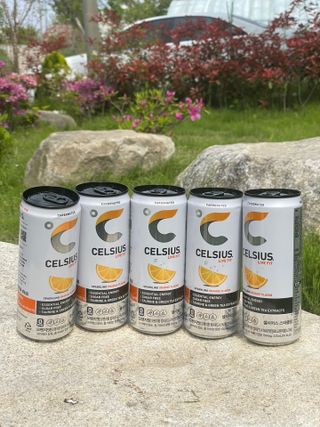 셀시어스 오리지널 325ml 에너지 비타민 피트니스 드링크(24can) 다이어트 음료 — 4점을 준 리뷰어가 2022년 5월 올린 사용 사진