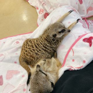 옐스님이 올린 리뷰 사진 2
