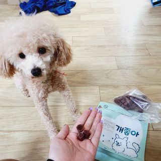 재님이 올린 리뷰 사진 4