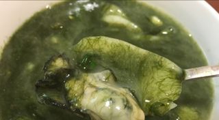 논지님이 올린 리뷰 사진 3