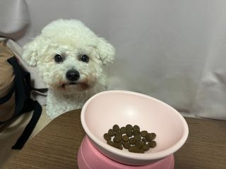김채원님이 올린 리뷰 사진 4