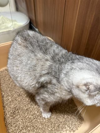 김윤주님이 올린 리뷰 사진 2