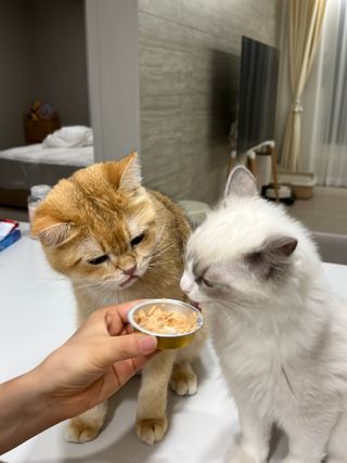 달님이 올린 리뷰 사진 1