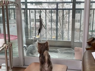 도토밤님이 올린 리뷰 사진 3