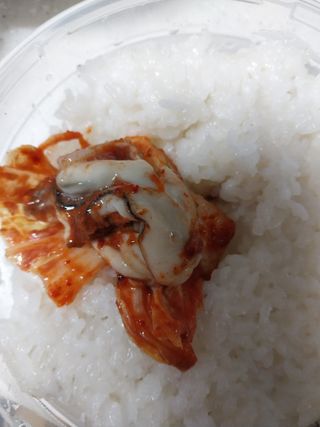 셰프애찬 별미김치 굴겉절이 1kg — 5점을 준 리뷰어가 2022년 12월 올린 사용 사진
