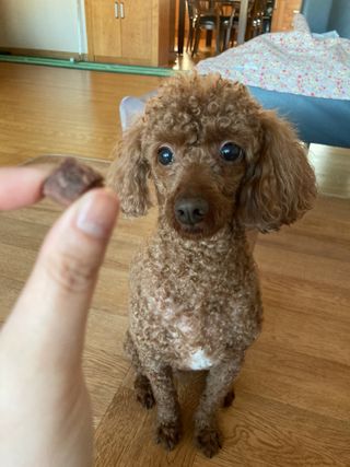얼짱맘님이 올린 리뷰 사진 3