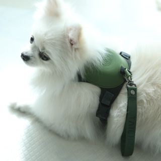 털털미녀님이 올린 리뷰 사진 1