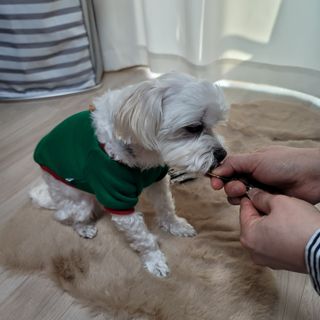 시우하늘맘님이 올린 리뷰 사진 3