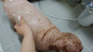 무지개둥이네님이 올린 리뷰 사진 1