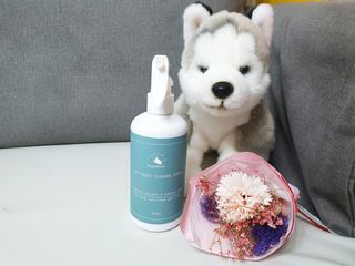 강민지님이 올린 리뷰 사진 1