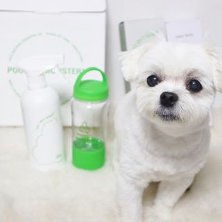 송린깡님이 올린 리뷰 사진 2