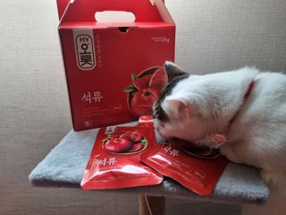 네몽이님이 올린 리뷰 사진 3