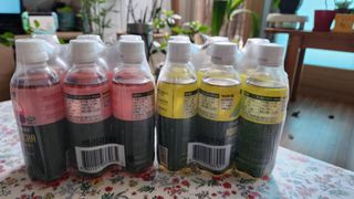 더그레잇티 콤부차 [매일유업] 더그레잇티 44kcal 콤부차 300ml *12개입 (오리지널 6개+베리리치 6개) — 5점을 준 리뷰어가 2023년 7월 올린 사용 사진