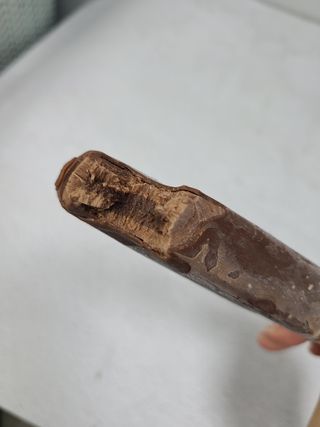 단발모리님이 올린 리뷰 사진 2