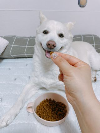 bori0924님이 올린 리뷰 사진 2