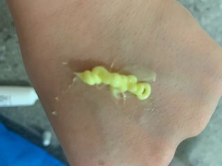 tomytaste님이 올린 리뷰 사진 4