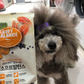 十二夜님이 올린 리뷰 사진 2