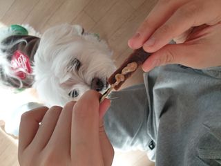 Zenithhappy님이 올린 리뷰 사진 4