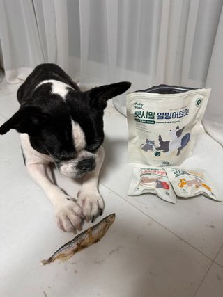[펫시밀] 원물그대로 영양듬뿍 진공동결건조 치킨텐더100g, 열빙어트릿100g 강아지 고양이 간식 — 5점을 준 리뷰어가 2023년 5월 올린 사용 사진