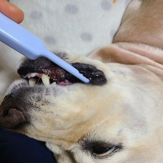 제니맘님이 올린 리뷰 사진 2
