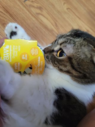 오남매맘님이 올린 리뷰 사진 1