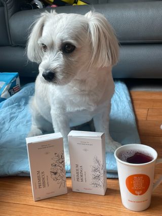 얄룽링님이 올린 리뷰 사진 3