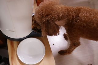 민쓰님이 올린 리뷰 사진 3