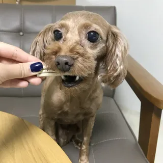 HAHA님이 올린 리뷰 사진 3
