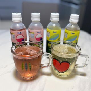 더그레잇티 콤부차 [매일유업] 더그레잇티 44kcal 콤부차 300ml *12개입 (오리지널 6개+베리리치 6개) — 5점을 준 리뷰어가 2023년 8월 올린 사용 사진