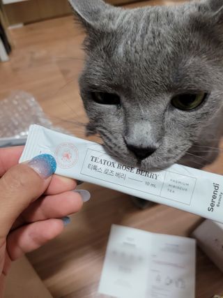 알몽님이 올린 리뷰 사진 4