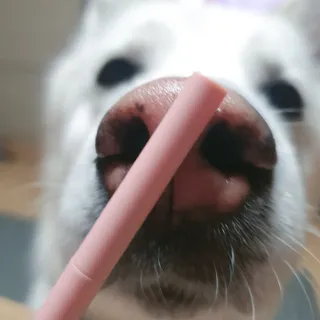딸랑구둘🥰님이 올린 리뷰 사진 1