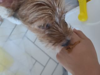커피보고왔엄님이 올린 리뷰 사진 3