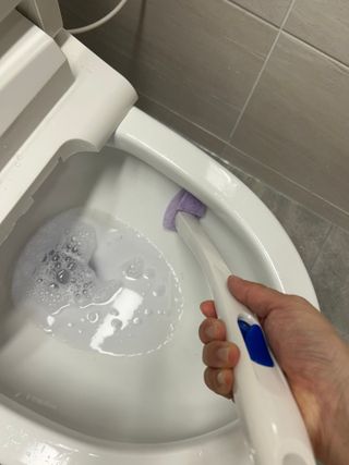 세지니힛님이 올린 리뷰 사진 3