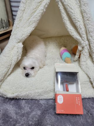 시우하늘맘님이 올린 리뷰 사진 2