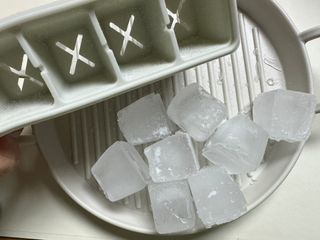 니디즈 포트아이스 2단 밀폐 실리콘 얼음틀 — 5점을 준 리뷰어가 2023년 1월 올린 사용 사진