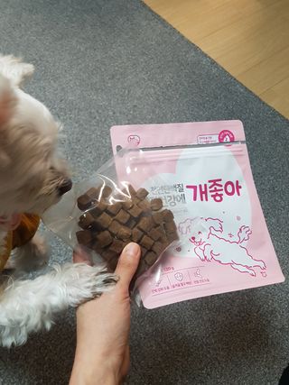 My Pet Care 천연단백질 관절건강에 개좋아 — 4.5점을 준 리뷰어가 2020년 12월 올린 사용 사진