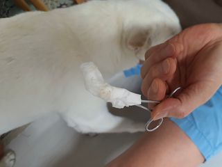 냥이님이 올린 리뷰 사진 4