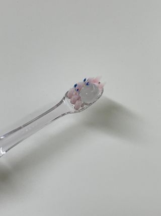 매스티나 프리미엄 매스티스 치약 — 4.5점을 준 리뷰어가 2021년 5월 올린 사용 사진